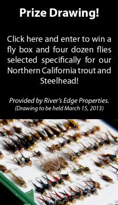 Fly box and four dozen flies for Northern California trout and steelhead.